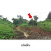 listing thumbnail image 5