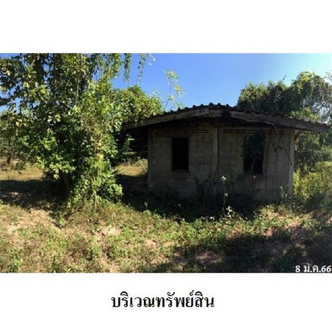 รูป Z8Z4543 ขายที่ดินเปล่า ตำบล เหมืองจี้ อำเภอ เมืองลำพูน จังหวัด ลำพูน - รูปที่ 5/8