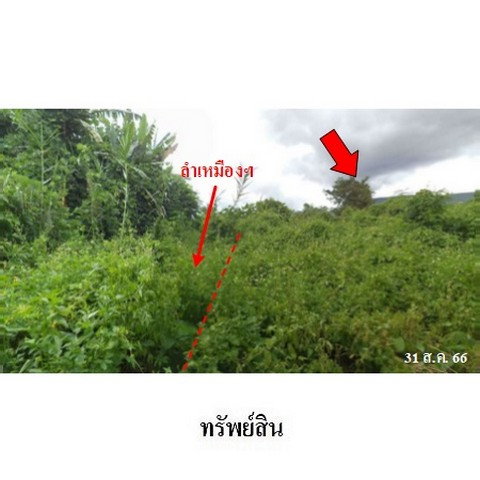 รูป ZLTR002 ขายที่ดินเปล่า ตำบล บ้านโฮ่ง อำเภอ บ้านโฮ่ง จังหวัด ลำพูน - รูปที่ 7/8