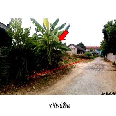 Land for sale Phanat Nikhom Hospital : FOR SALE  LAND PROPERTY  1980000 BAHT.