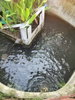 listing thumbnail image 19