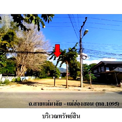 ที่ดิน ปาย แม่ฮ่องสอน : Z3A1108 ขายที่ดินเปล่า ตำบล เวียงใต้ อำเภอ ปาย จังหวัด แม่ฮ่องสอน