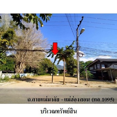 รูป Z3A1108 ขายที่ดินเปล่า ตำบล เวียงใต้ อำเภอ ปาย จังหวัด แม่ฮ่องสอน - รูปที่ 1/8