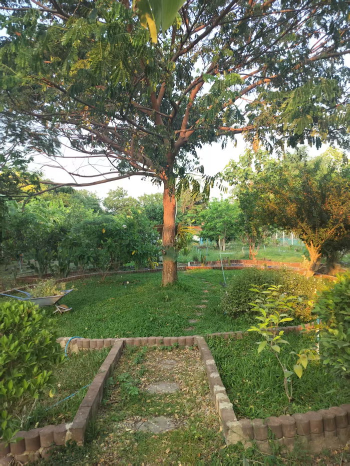 รูป ที่พัก Love in Kan Resort ให้เช่า 5 ห้อง - รูปที่ 49/155
