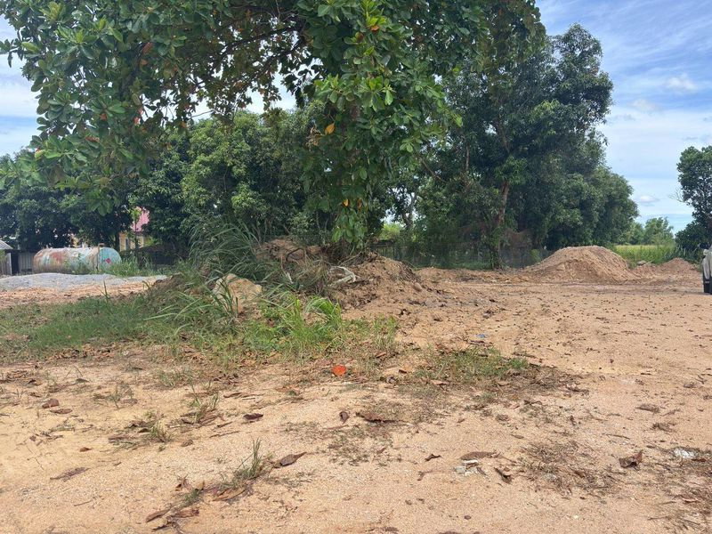 รูป ขายที่ดินเปล่า หนองขาม ศรีราชา เดินทางสะดวก ใกล้นิคมอุตสาหกรรม - รูปที่ 2/6