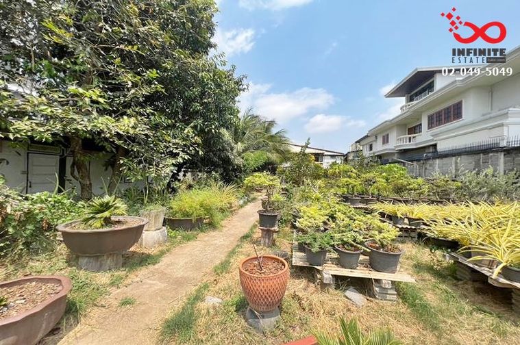 Land for sale, 209 sq wah, Suan Luang