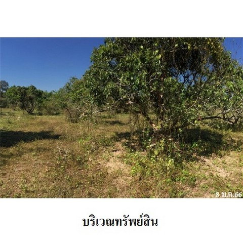 รูป Z8Z4543 ขายที่ดินเปล่า ตำบล เหมืองจี้ อำเภอ เมืองลำพูน จังหวัด ลำพูน - รูปที่ 6/8