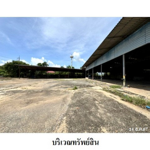 รูป Z3A2165 ขายโกดัง ตำบล ประจันตคาม อำเภอ ประจันตคาม จังหวัด ปราจีนบุรี - รูปที่ 5/8