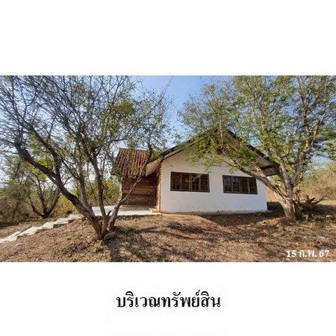 รูป Z3A0330 ขายที่ดิน ตำบล ด่านแม่ละเมา อำเภอ แม่สอด จังหวัด ตาก - รูปที่ 6/8