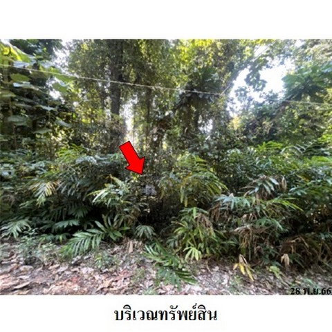 picture FOR SALE LAND PROPERTY 747000 BAHT. - 3/8