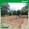 listing thumbnail image 23
