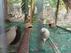 listing thumbnail image 73