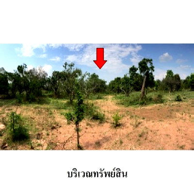 ที่ดิน เมืองลำพูน ลำพูน : Z8Z4543 ขายที่ดินเปล่า ตำบล เหมืองจี้ อำเภอ เมืองลำพูน จังหวัด ลำพูน