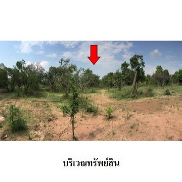 Z8Z4543 ขายที่ดินเปล่า ตำบล เหมืองจี้ อำเภอ เมืองลำพูน จังหวัด ลำพูน