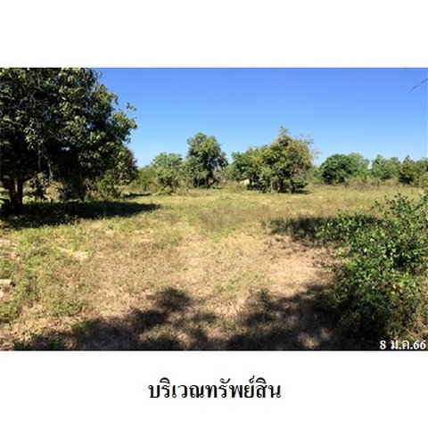 รูป Z8Z4543 ขายที่ดินเปล่า ตำบล เหมืองจี้ อำเภอ เมืองลำพูน จังหวัด ลำพูน - รูปที่ 4/8
