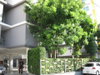 listing thumbnail image 13
