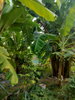 listing thumbnail image 46