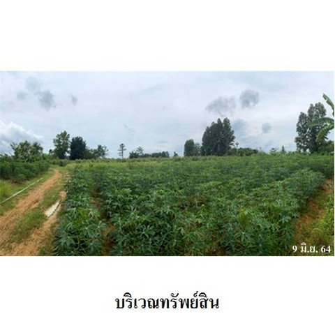 รูป Z3A0673 ขายที่ดินเปล่า ตำบล ศาลาลำดวน อำเภอ เมืองสระแก้ว จังหวัด สระแก้ว - รูปที่ 6/8