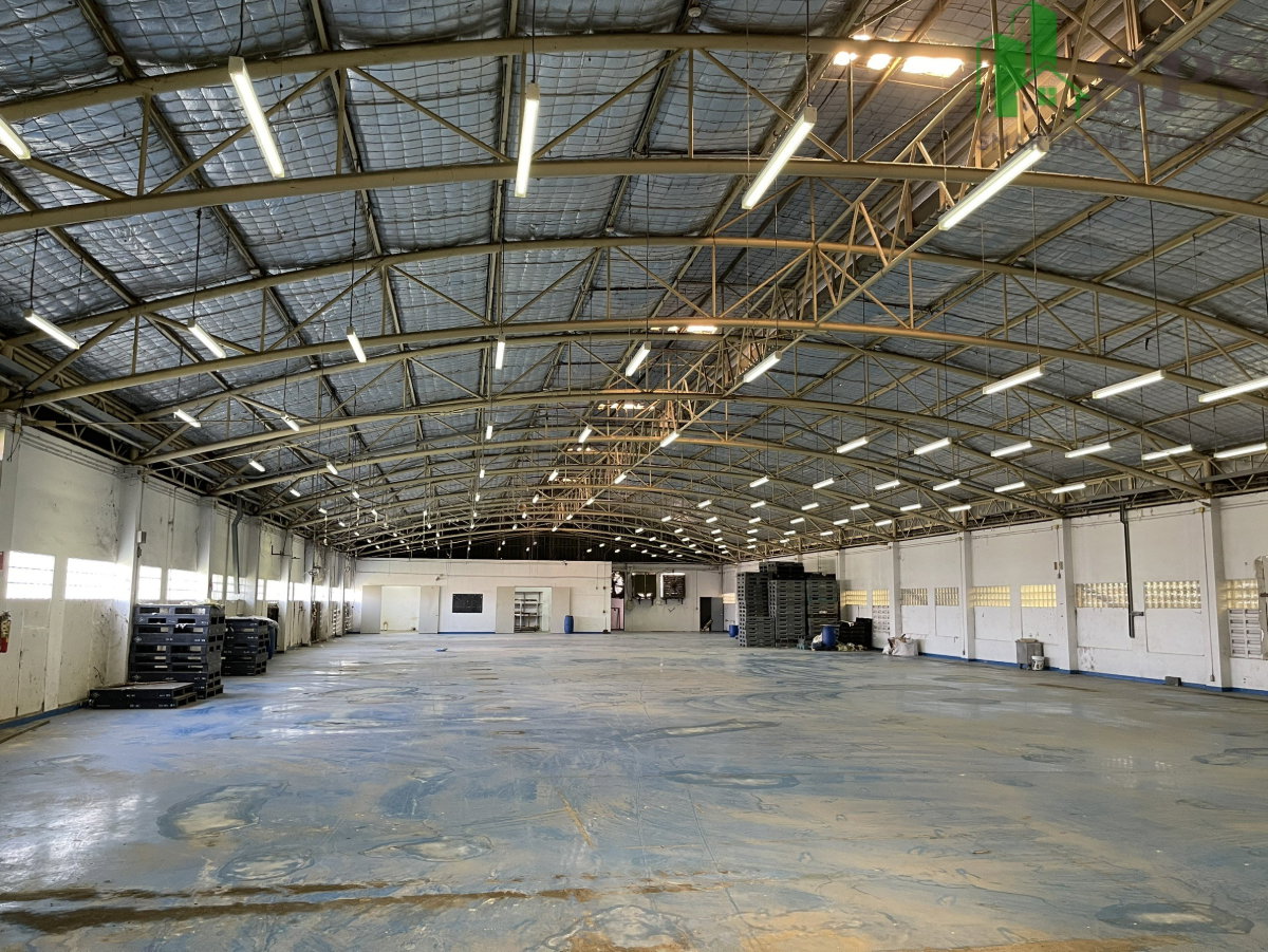 picture Factory / Warehouse for Rent with Office | Purple Zone | Phra Samut Chedi, Samut Prakan (SPSAD4066) - 7/11