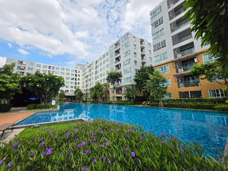 รูป เช่า  D condo  Nim
ติดเซ็นทรัลเฟส ขนาด 37 ตรม.  วิวสระ 12,000 /เดือน  - รูปที่ 10/10