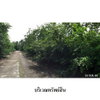 listing thumbnail image 7