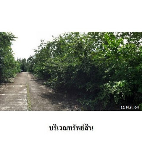 รูป Z8Z3311 ขายที่ดินเปล่า โครงการ สวนเกษตรนพวรรณ ตำบล หนองปลาสะวาย อำเภอ บ้านโฮ่ง จังหวัด ลำพูน - รูปที่ 8/8