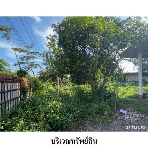 picture FOR SALE HOUSE PROPERTY 1043000 BAHT. - 7/8