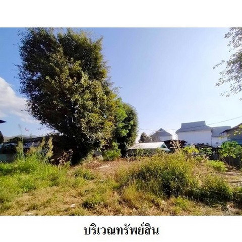 รูป Z3A1108 ขายที่ดินเปล่า ตำบล เวียงใต้ อำเภอ ปาย จังหวัด แม่ฮ่องสอน - รูปที่ 5/8
