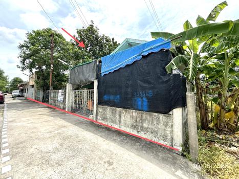 รูป บ้านเดี่ยว 365 ตร.วา นครชัยศรี นครปฐม 3.5M - รูปที่ 21/24