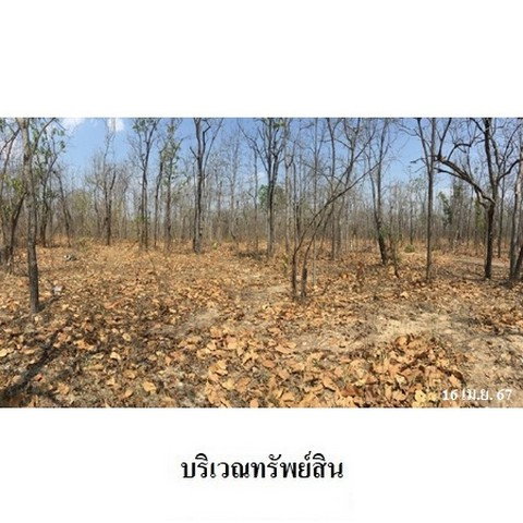 รูป Z3A0415 ขายที่ดินเปล่า ตำบล ไม้งาม อำเภอ เมืองตาก จังหวัด ตาก - รูปที่ 4/8