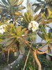 listing thumbnail image 31