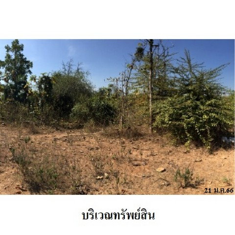 รูป Z8Z2690 ขายที่ดินเปล่า โครงการ เสริมทรัพย์สักทอง ตำบล หนองปลาสะวาย อำเภอ บ้านโฮ่ง จังหวัด ลำพูน - รูปที่ 4/8