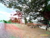 listing thumbnail image 39