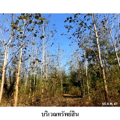 ที่ดิน แม่สอด ตาก : Z3A0330 ขายที่ดิน ตำบล ด่านแม่ละเมา อำเภอ แม่สอด จังหวัด ตาก