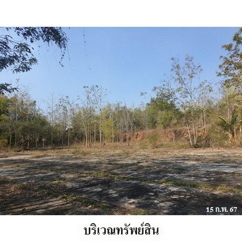 รูป Z3A0330 ขายที่ดิน ตำบล ด่านแม่ละเมา อำเภอ แม่สอด จังหวัด ตาก - รูปที่ 3/8