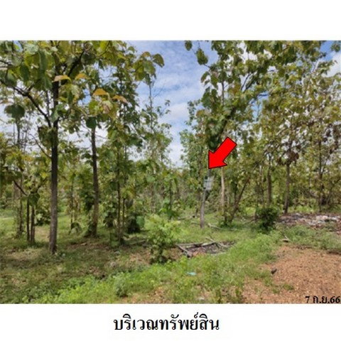 รูป Z9Z1325 ขายที่ดินเปล่า โครงการ เสริมทรัพย์สักทอง ตำบล หนองปลาสะวาย อำเภอ บ้านโฮ่ง จังหวัด ลำพูน - รูปที่ 8/8