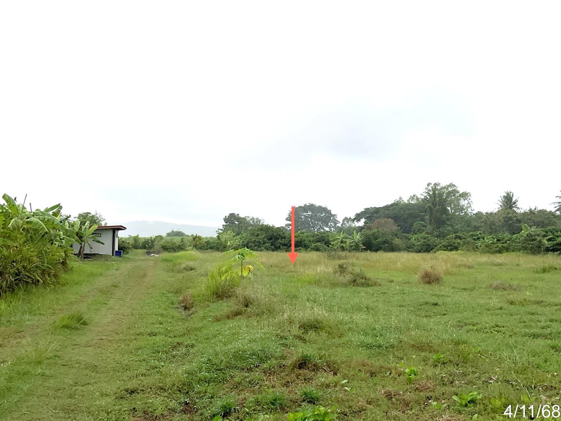 picture HOME 4987 Sq.w. Chalermphrakiet Buri Ram for 5.5M - 14/20