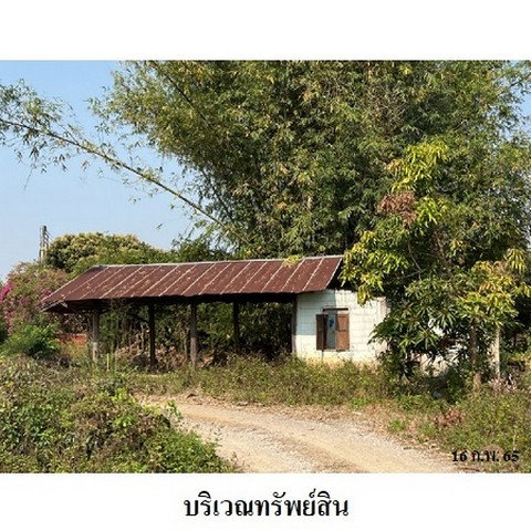 picture FOR SALE  WAREHOUSE PROPERTY  4659000 BAHT. - 7/8