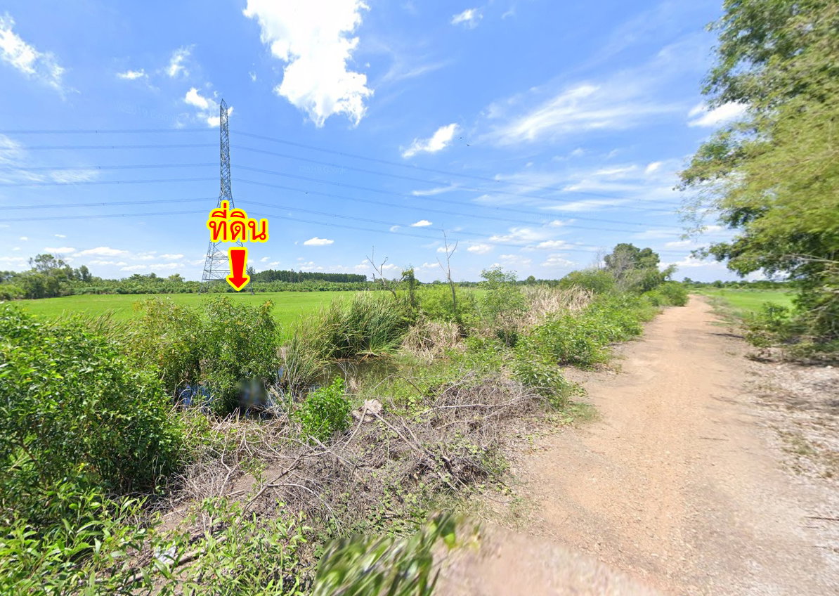 รูป ขายที่ดิน ถนนคลองเก้า คลองระพีพัฒน์ หนองเสือ ปทุมธานี - รูปที่ 15/16