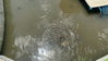 listing thumbnail image 142