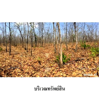 ที่ดิน ตาก : Z3A0415 ขายที่ดินเปล่า ตำบล ไม้งาม อำเภอ เมืองตาก จังหวัด ตาก