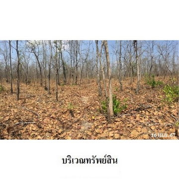 Z3A0415 ขายที่ดินเปล่า ตำบล ไม้งาม อำเภอ เมืองตาก จังหวัด ตาก