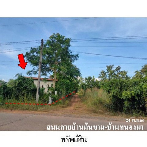 รูป ZBL0046 ขายทาวน์เฮ้าส์ ตำบล ชัยจุมพล อำเภอ ลับแล จังหวัด อุตรดิตถ์ - รูปที่ 2/8
