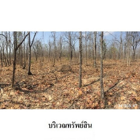 รูป Z3A0415 ขายที่ดินเปล่า ตำบล ไม้งาม อำเภอ เมืองตาก จังหวัด ตาก - รูปที่ 5/8