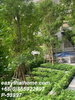 listing thumbnail image 18