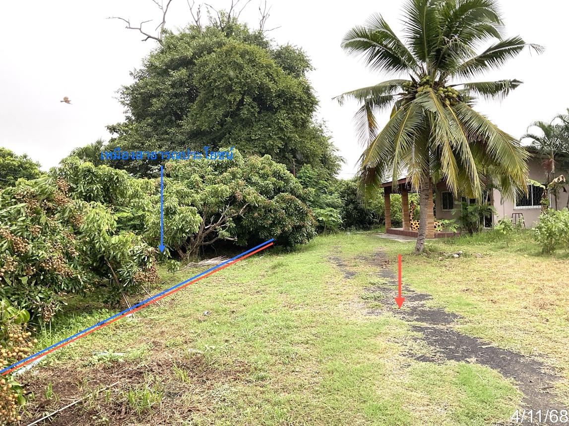 picture HOME 4987 Sq.w. Chalermphrakiet Buri Ram for 5.5M - 12/20