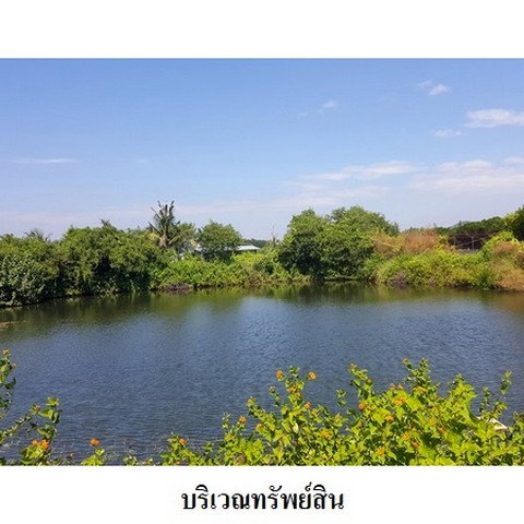 รูป Z3A0258 ขายที่ดินเปล่า ตำบล ตะกาดเง้า อำเภอ ท่าใหม่ จังหวัด จันทบุรี - รูปที่ 6/8