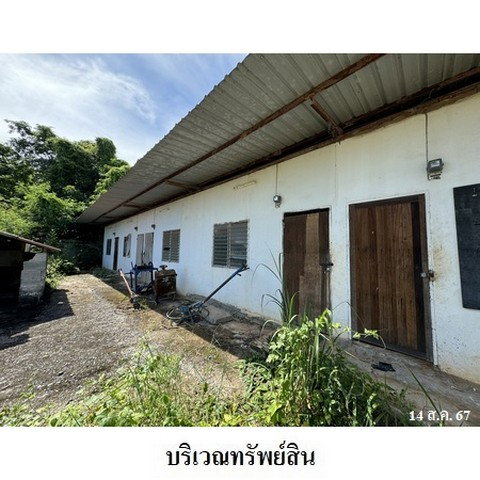รูป Z3A1459 ขายบ้านเดี่ยว ตำบล ท่าตูม อำเภอ ศรีมหาโพธิ จังหวัด ปราจีนบุรี - รูปที่ 3/8