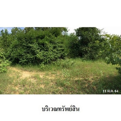 รูป Z8Z3311 ขายที่ดินเปล่า โครงการ สวนเกษตรนพวรรณ ตำบล หนองปลาสะวาย อำเภอ บ้านโฮ่ง จังหวัด ลำพูน - รูปที่ 2/8