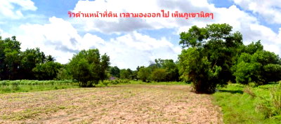 ที่ดิน บางละมุง ชลบุรี : ขายที่ดินเปล่า พัทยา ใกล้สนามกอล์ฟฟีนิกซ์ บรรยากาศเงียบสงบ